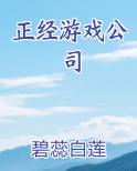 正经游戏公司