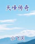 天峰传奇游戏