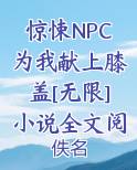 惊悚NPC为我献上膝盖[无限]小说全文阅读