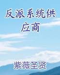 反派系统供应商小说推荐
