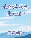 我的游戏就是天道！