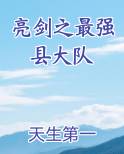 亮剑之最强县大队