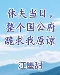 休夫当日,整个国公府跪求我原谅 第240章