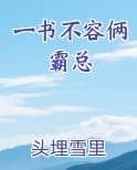 一书不容俩霸总