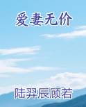 爱妻无双