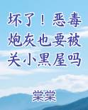 坏了！恶毒炮灰也要被关小黑屋吗