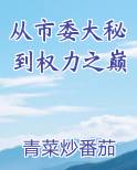 市委大秘小说免费下载