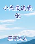 小天使追妻记