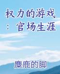 权力的游戏：官场生涯