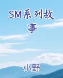 SM系列故事