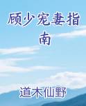顾少宠妻指南免费阅读