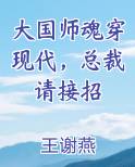 大国师魂穿现代，总裁请接招