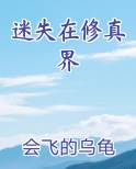 迷失在修真界