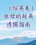 书名《虫母》
