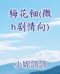 梅花簪子图片