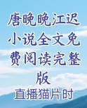 唐晚晚的小说