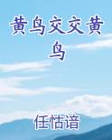 鸟和黄鸟的相差多少