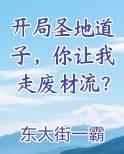 开局圣地道子，你让我走废材流？排行榜