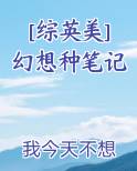 种幻想17