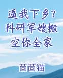 搞科研的军官