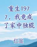重生1977,我竟成了家中独棍子的小说