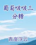 葡萄啵啵几分糖