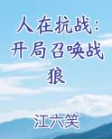 人在抗战：开局召唤战狼