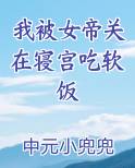 我被女帝关在寝宫吃软饭