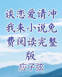谈恋爱的小说