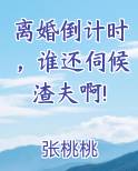 小说离婚倒计时全文