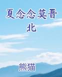 夏念念莫晋北