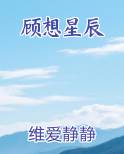 顾星辰小说