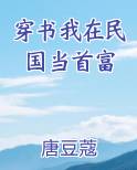 穿书我在民国当首富