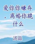 爱你你嫌弃，离婚你跪什么小说排行榜
