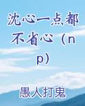 沈心一点都不省心（np）