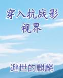 穿入抗战影视界