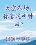 天空农场，你管这叫种田？完结小说