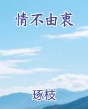 情不由衷小说全文免费阅读