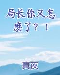 局长很忙