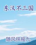 东汉不三国