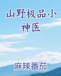 山野极品小神医