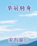 华丽转身小说下载