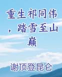 重生祁同伟，踏雪至山巅