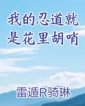 我的忍道就是花里胡哨