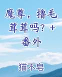 魔尊，撸毛茸茸吗？+番外