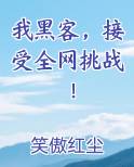 我黑客，接受全网挑战！全本免费阅读