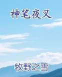 神笔夜叉笔趣阁免费阅读