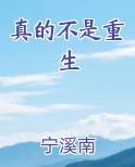 真的不是重生推荐小说