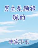 男主是顾祁琛的