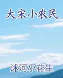 大宋小农民
